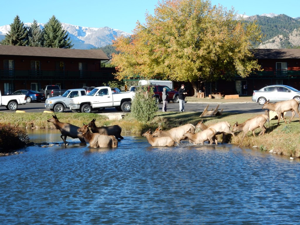 slideshow image